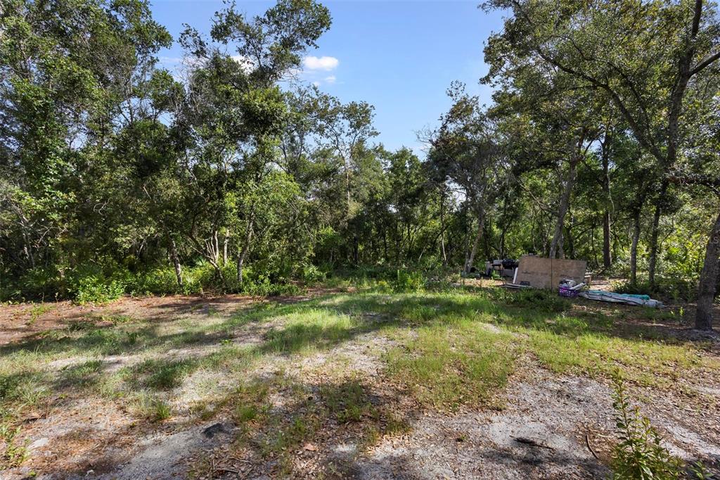 Doyle Road Deltona, FL 32725 - Photo 13 of 14 a view of a yard with a tree