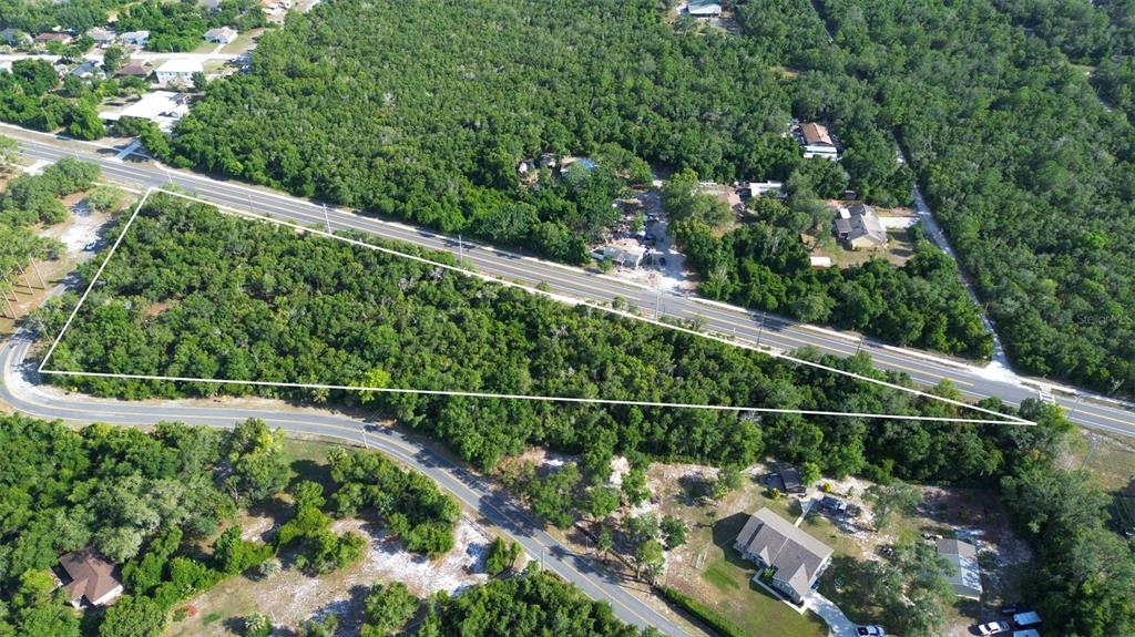 Doyle Road Deltona, FL 32725 - Photo 14 of 14 a view of a yard with a tree