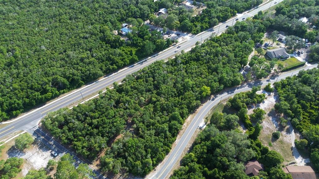 Doyle Road Deltona, FL 32725 - Photo 7 of 14 a close up of a plant in a garden