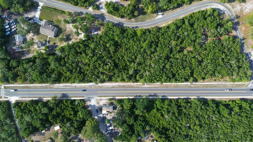 Doyle Road Deltona, FL 32725 - Photo 10 of 14 a view of a yard with plants