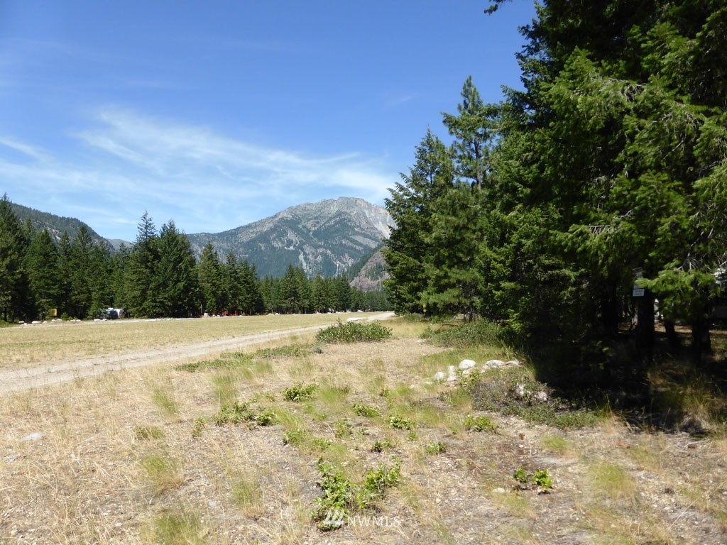 3 Mink Road Mazama, WA 98833 - Photo 1 of 8 Gallery Image 1