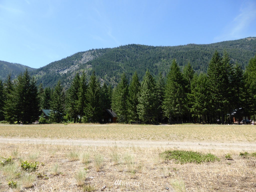 3 Mink Road Mazama, WA 98833 - Photo 2 of 8 Gallery Image 2