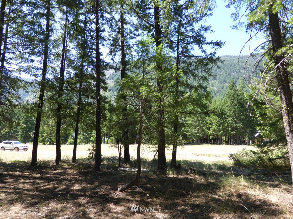 3 Mink Road Mazama, WA 98833 - Photo 4 of 8 Gallery Image 4