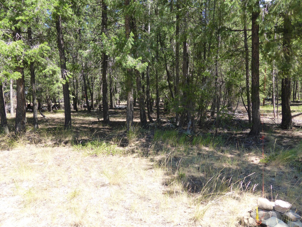 3 Mink Road Mazama, WA 98833 - Photo 7 of 8 Gallery Image 7