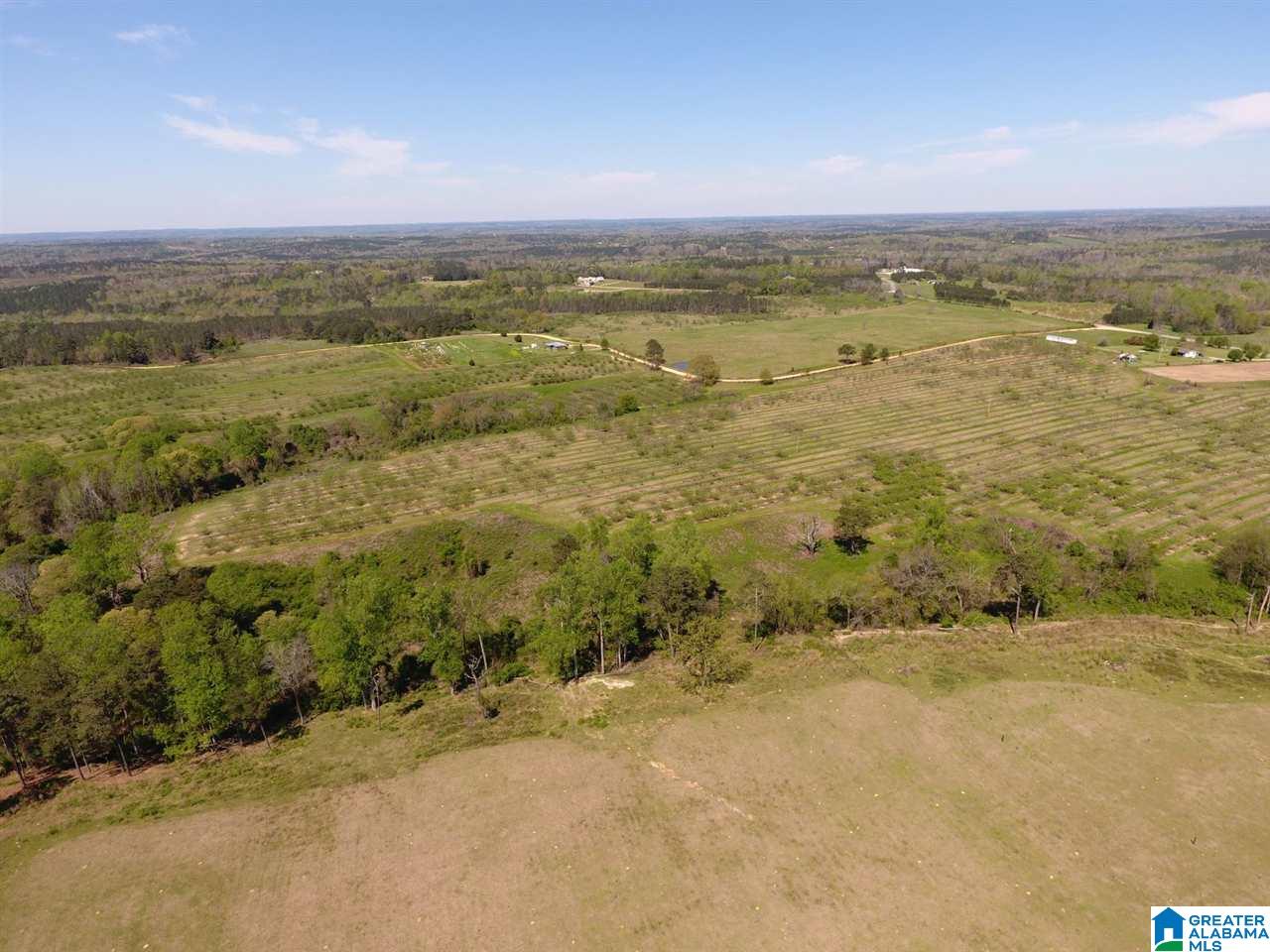 0 County Road 30, Unit 1 Clanton, AL 35045 - Photo 27 of 32