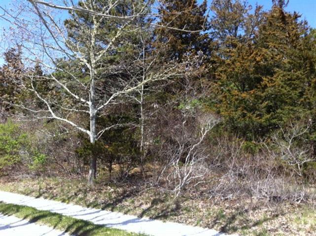 20 Camp Road Orleans, MA 02653 - Photo 3 of 5 a view of tree