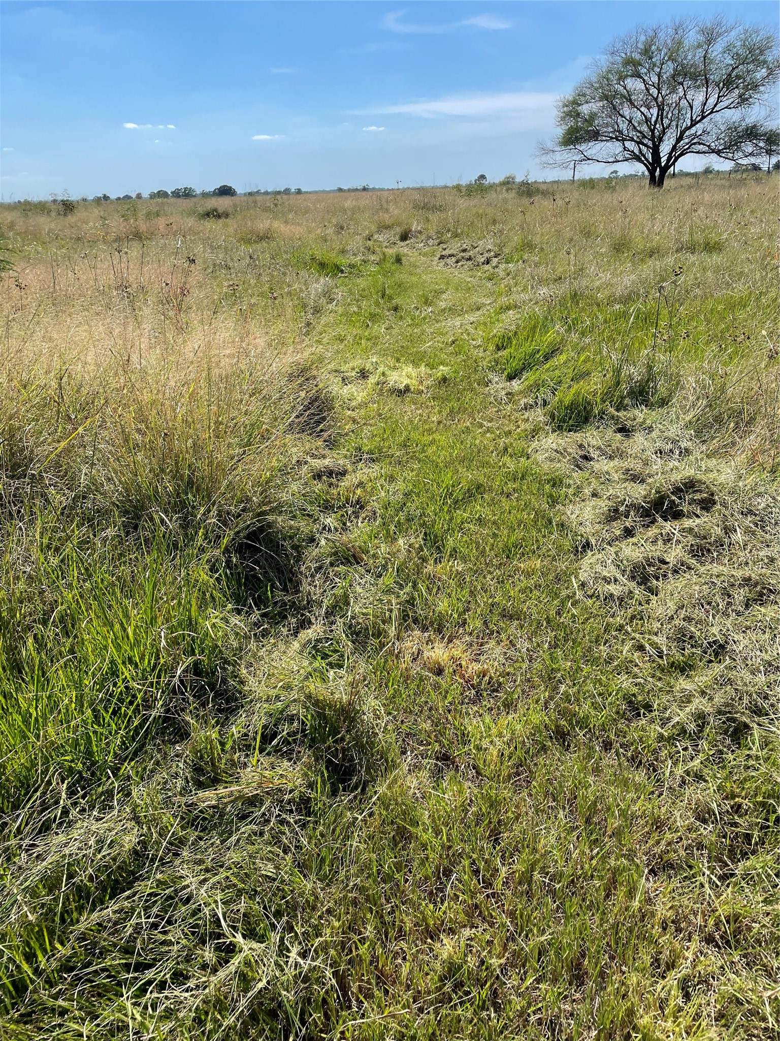 17002 Brumbelow Road Needville, TX 77461 - Photo 5 of 5 property view
