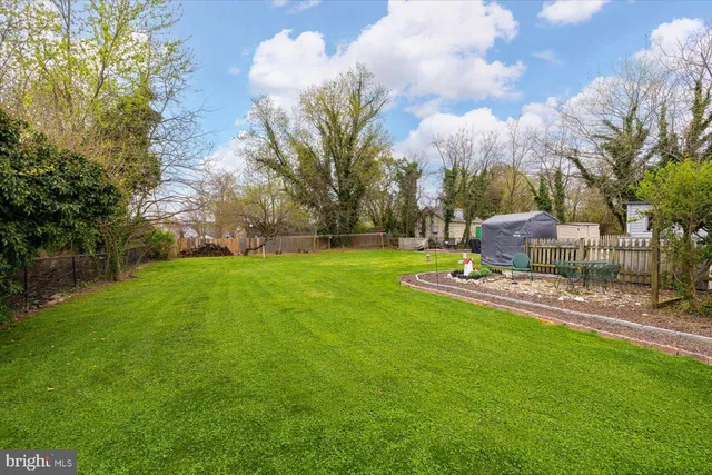 a view of a park with large trees