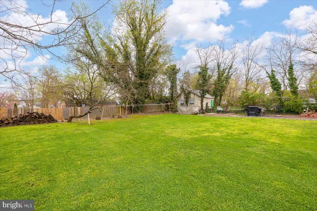 a huge green field with lots of trees