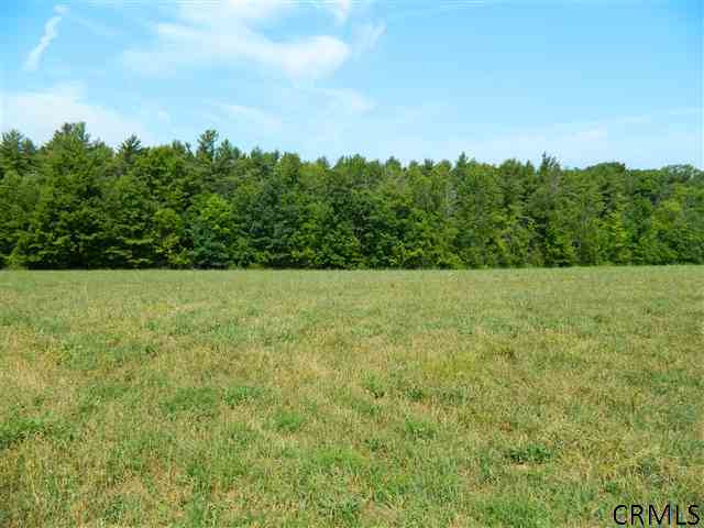 Simons Road Berne, NY 12023 - Photo 1 of 9 Photo 1