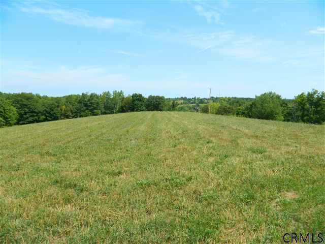 Simons Road Berne, NY 12023 - Photo 3 of 9 Photo 3