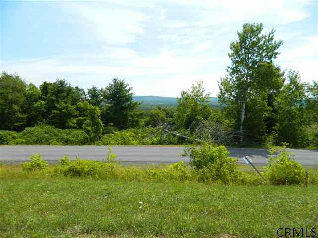 Simons Road Berne, NY 12023 - Photo 4 of 9 Photo 4