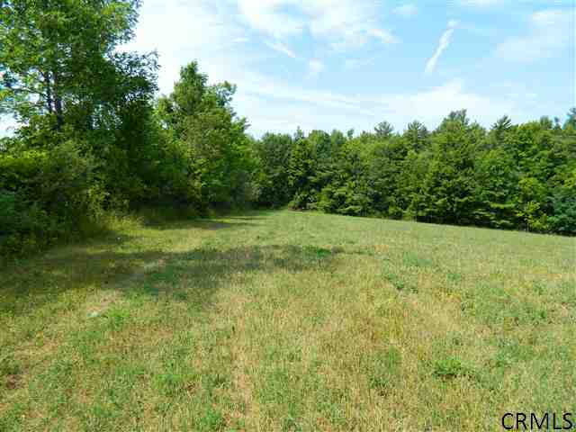 Simons Road Berne, NY 12023 - Photo 5 of 9 Photo 5