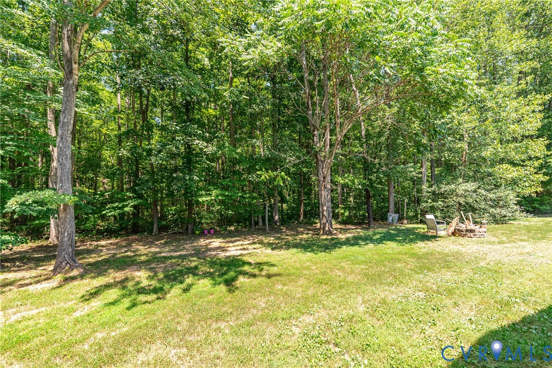 197 Goshen Road Cumberland, VA 23040 - Photo 15 of 70 Expansive grassy yard backed by a dense treeline,