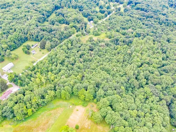 a view of a big yard with large trees