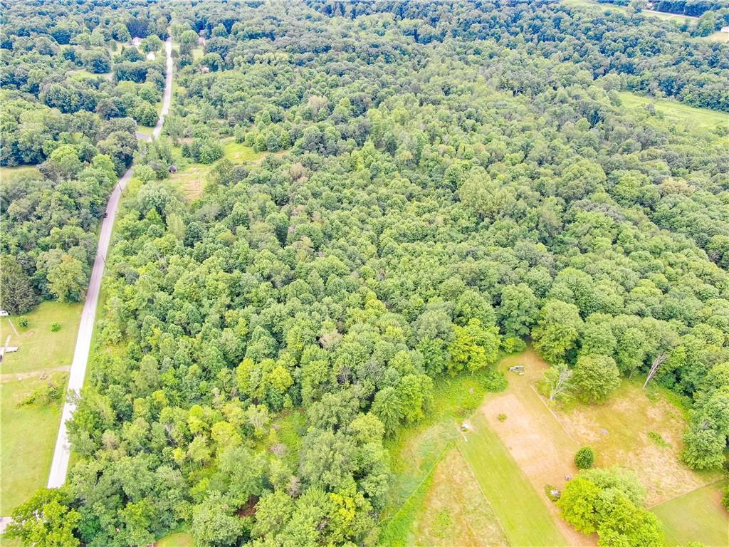 Lot # 1 Hillsville Road Pulaski, PA 16116 - Photo 9 of 11 a view of a big yard with large trees