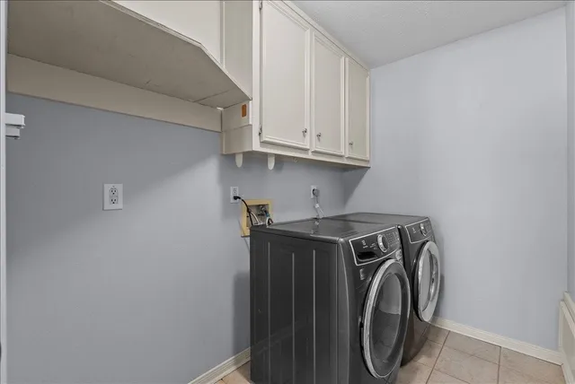 a view of a park with large trees