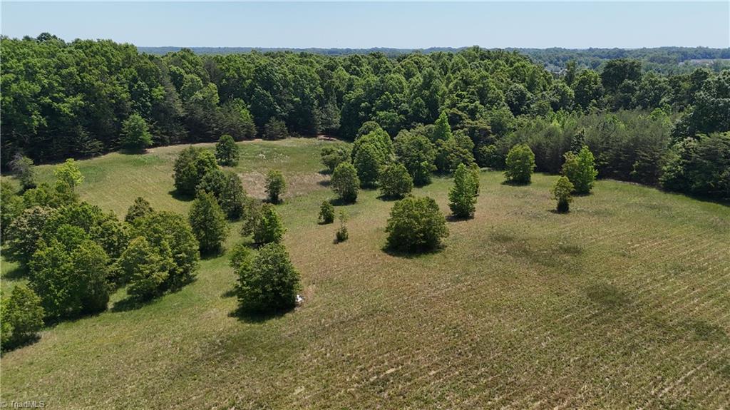 0 Witty Road Summerfield, NC 27358 - Photo 9 of 21