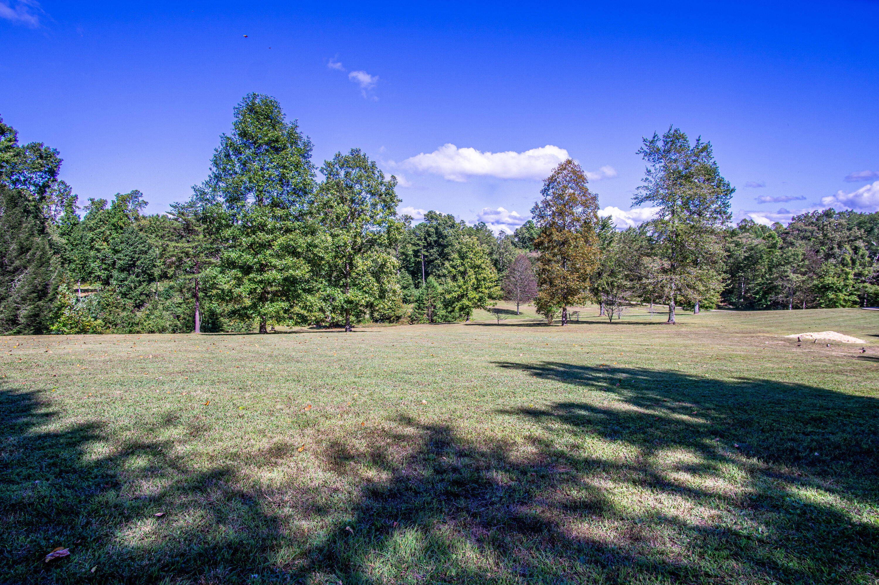 1221 Holly Grove Road Corbin, KY 40701 - Photo 59 of 65 DSC07273-HDR