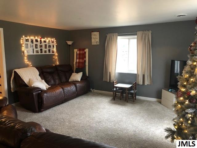 5504 Ackerson Lake Road Jackson, MI 49201 - Photo 4 of 13 Photo 4