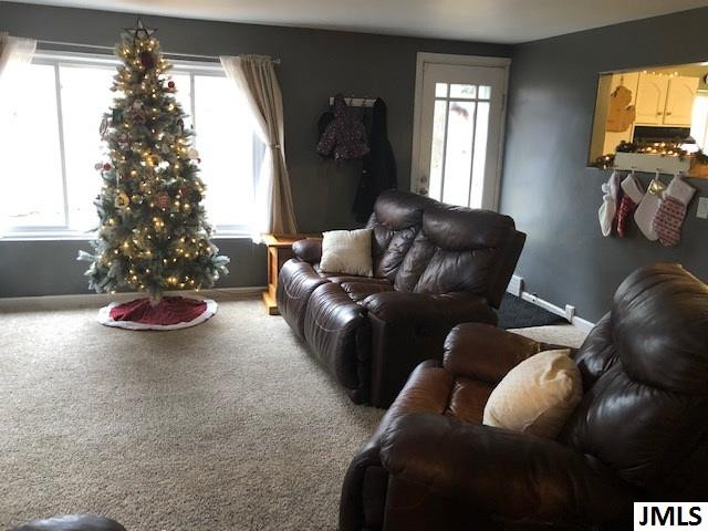 5504 Ackerson Lake Road Jackson, MI 49201 - Photo 5 of 13 Photo 5