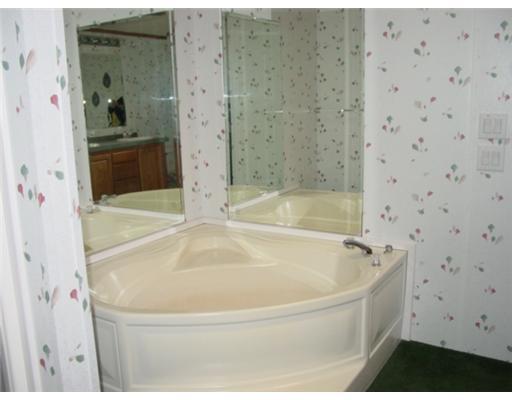 199 Wildcat Road Friedens, PA 15541 - Photo 9 of 18 Master Bath/Spa.