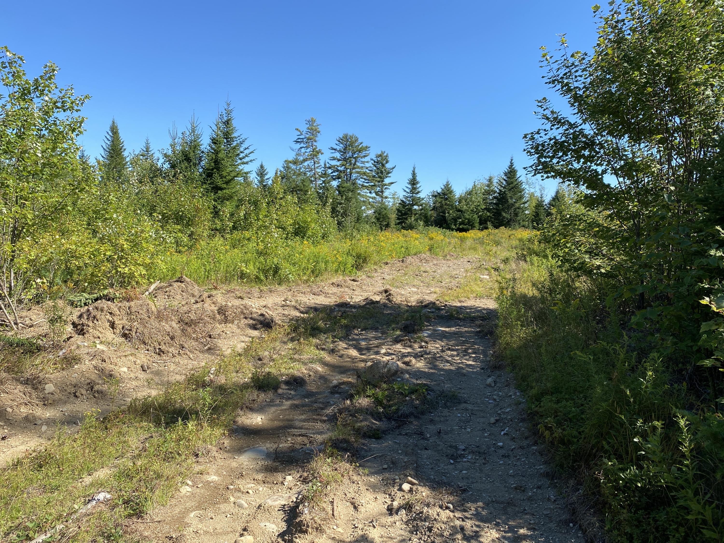 Lot 18 Cookson Road Greenbush, ME 04418 - Photo 5 of 8 IMG_1401