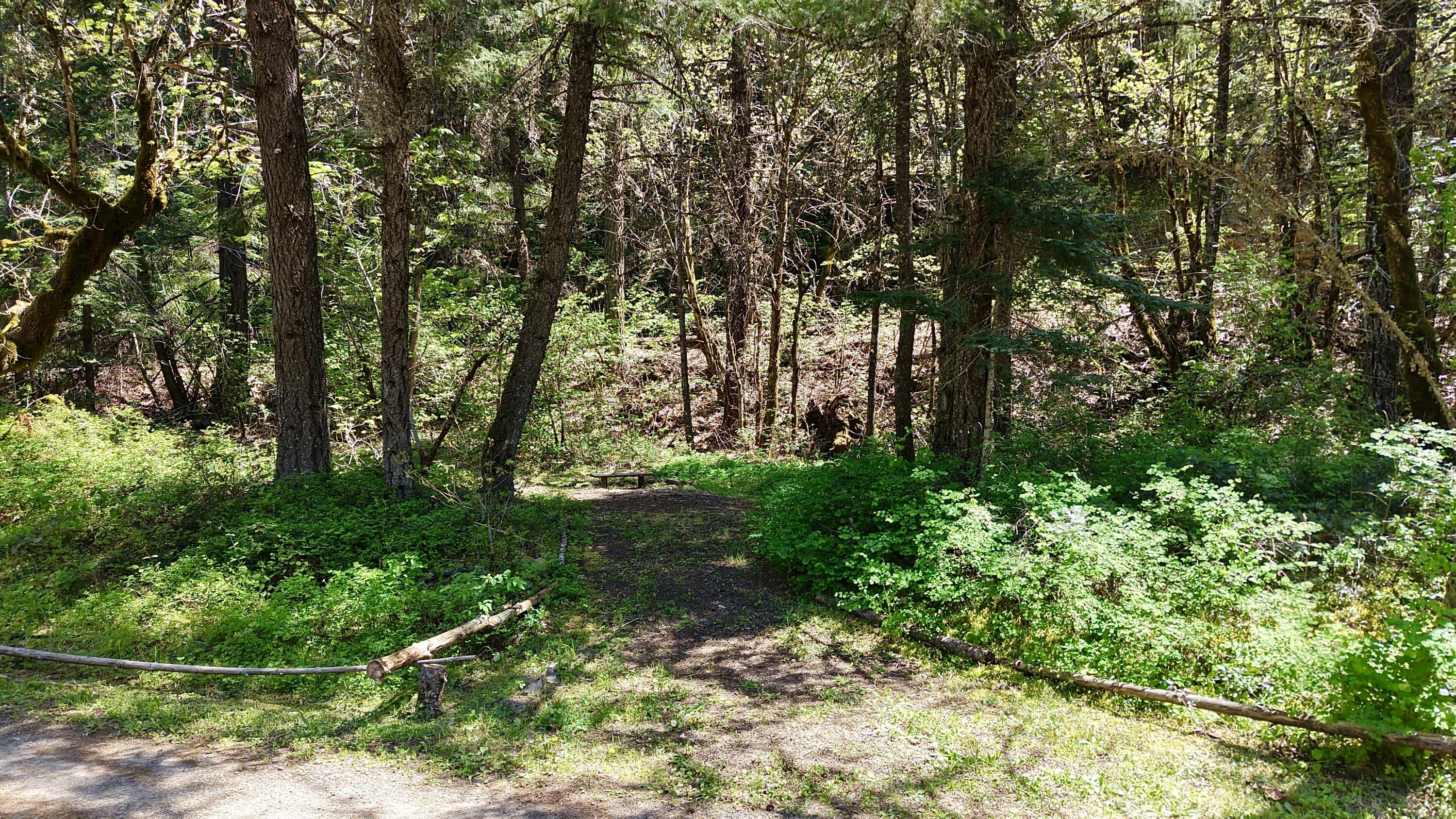 52 Dodes Creek Road Trail, OR 97541 - Photo 17 of 110 Dry Camping Spot