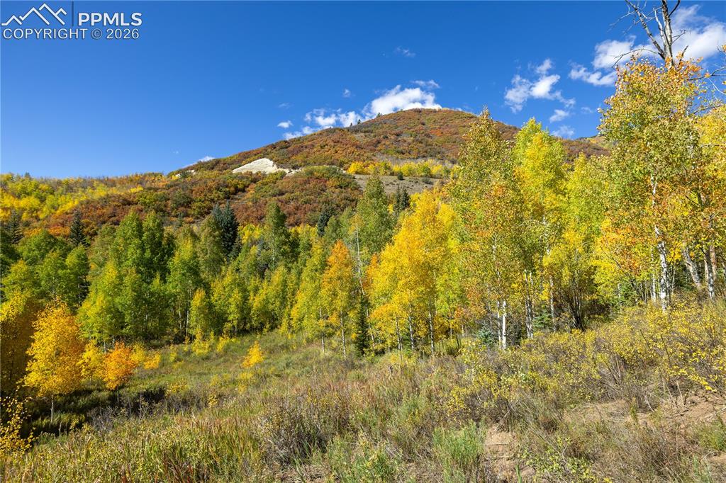 Undisclosed Address Basalt, CO 81621 - Photo 28 of 36 Another View of Aspen Grove!