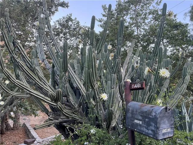 $1,295,000 | 11461 Riverwood Drive, Sylmar, CA 91342