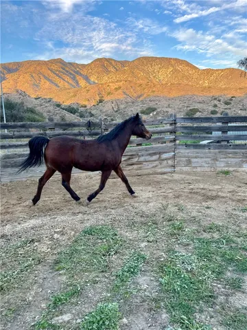 $1,295,000 | 11461 Riverwood Drive, Sylmar, CA 91342