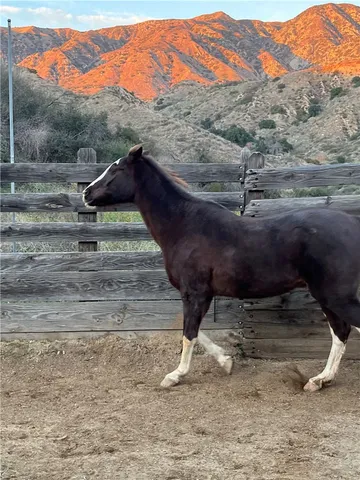 $1,295,000 | 11461 Riverwood Drive, Sylmar, CA 91342