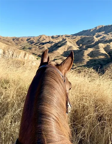 $1,295,000 | 11461 Riverwood Drive, Sylmar, CA 91342