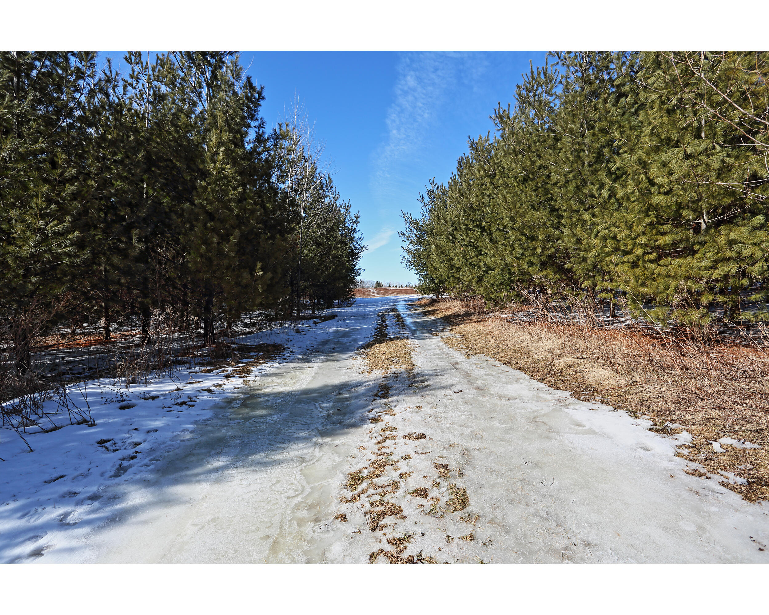 Lt0 County Rd F Valders, WI 54245 - Photo 1 of 1 Country Dream-Come-True Land