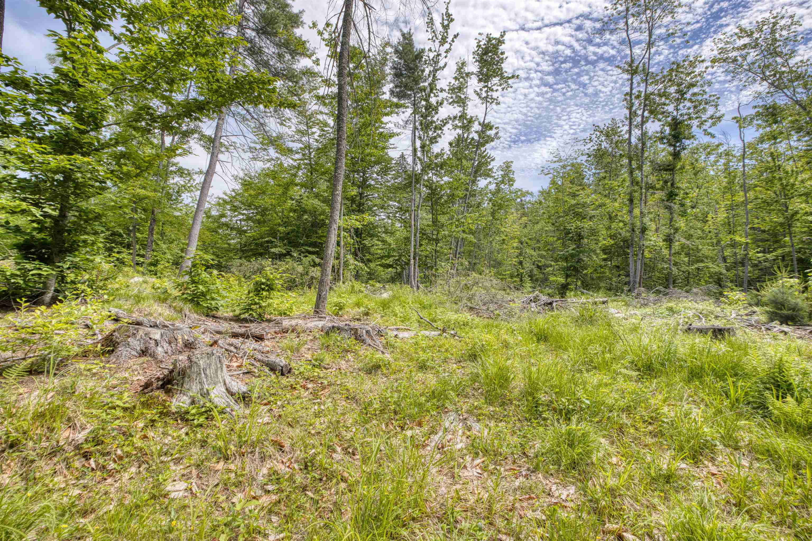 160 Browns Ridge Road Ossipee, NH 03864 - Photo 54 of 59