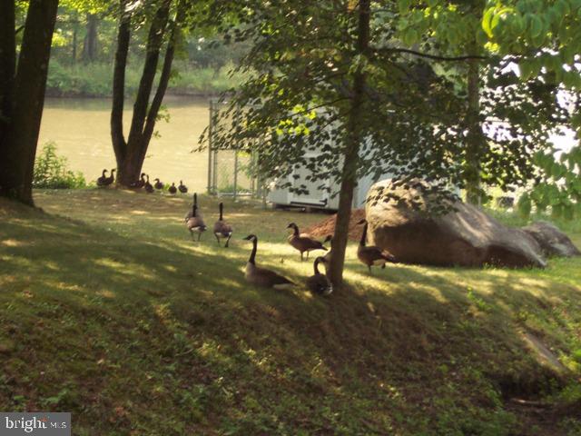 131 Sun Valley Road Elizabethtown, PA 17022 - Photo 27 of 32 Gallery Image 27