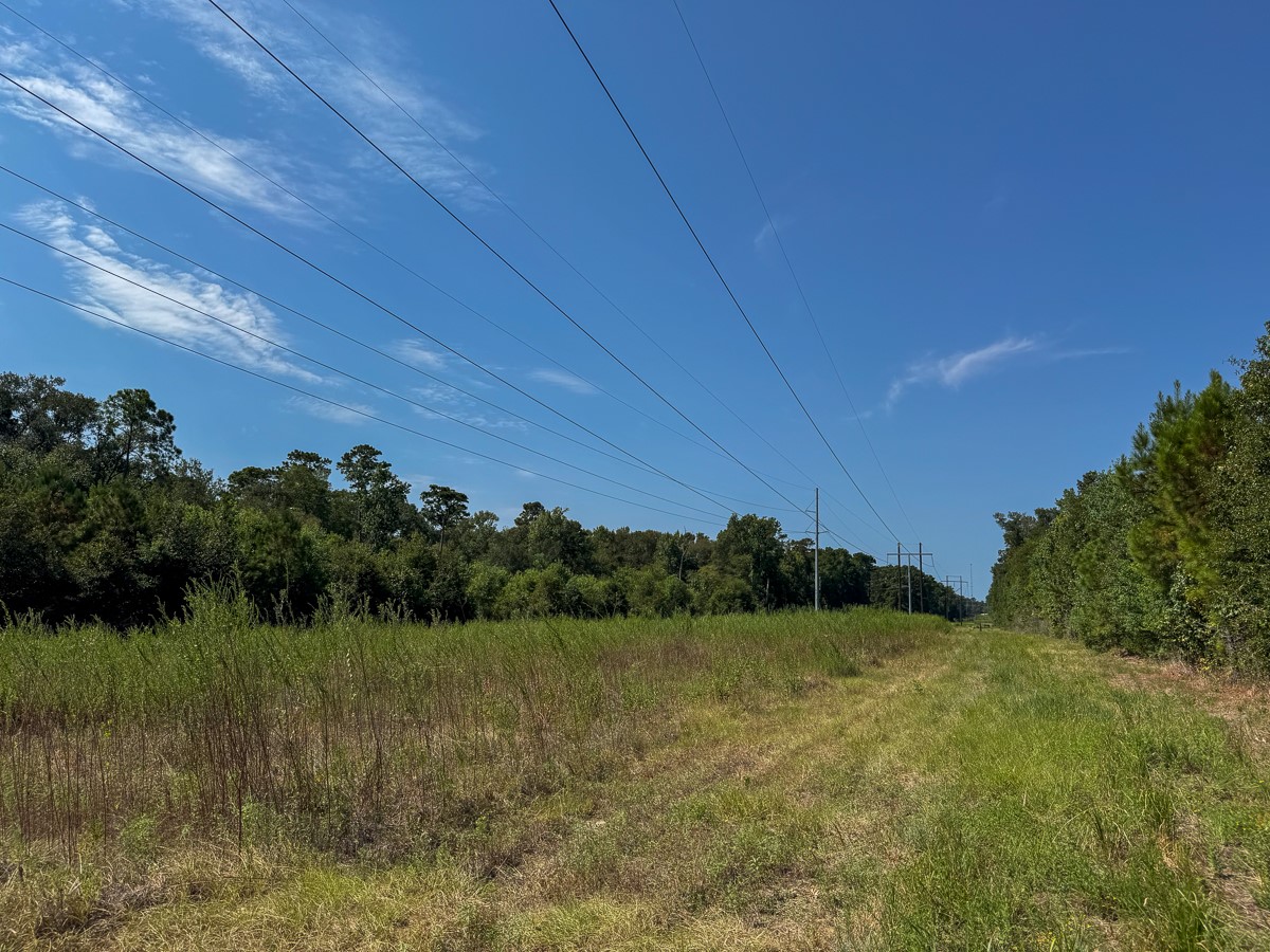0 Johnson Road Huntsville, TX 77320 - Photo 12 of 29 Gallery Image 12