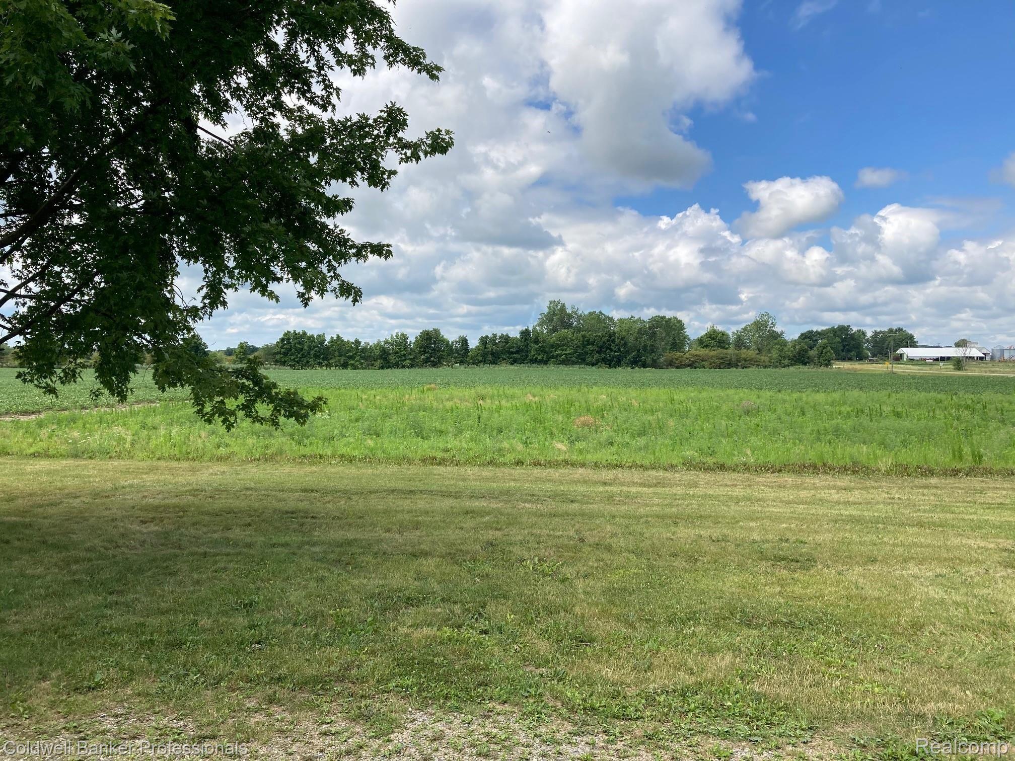 15545 Dudley Road Yale, MI 48097 - Photo 25 of 26 Side Yard.jpg