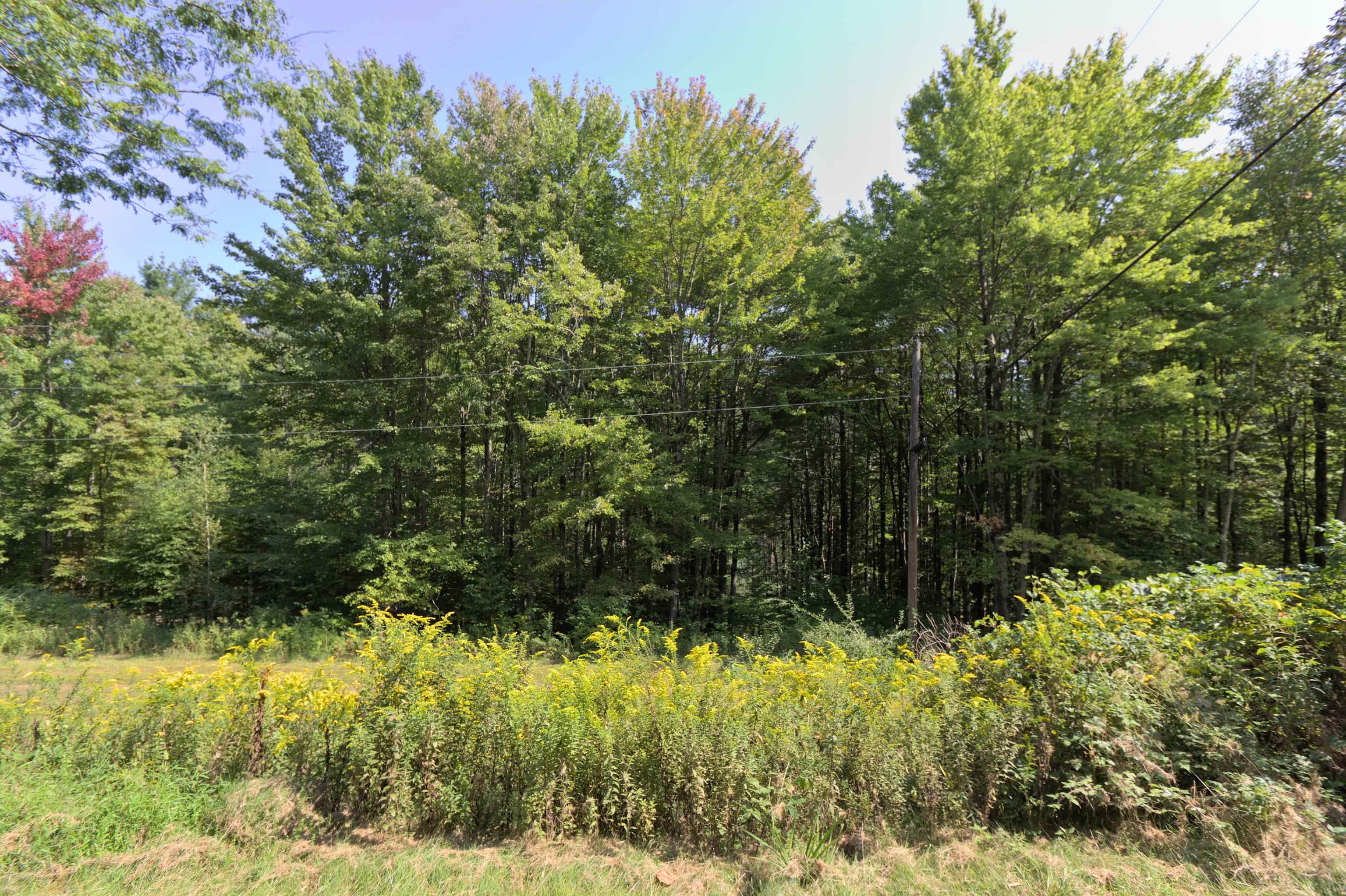 151 Mountainview Road Sandgate, VT 05250 - Photo 32 of 42 Gallery Image 32