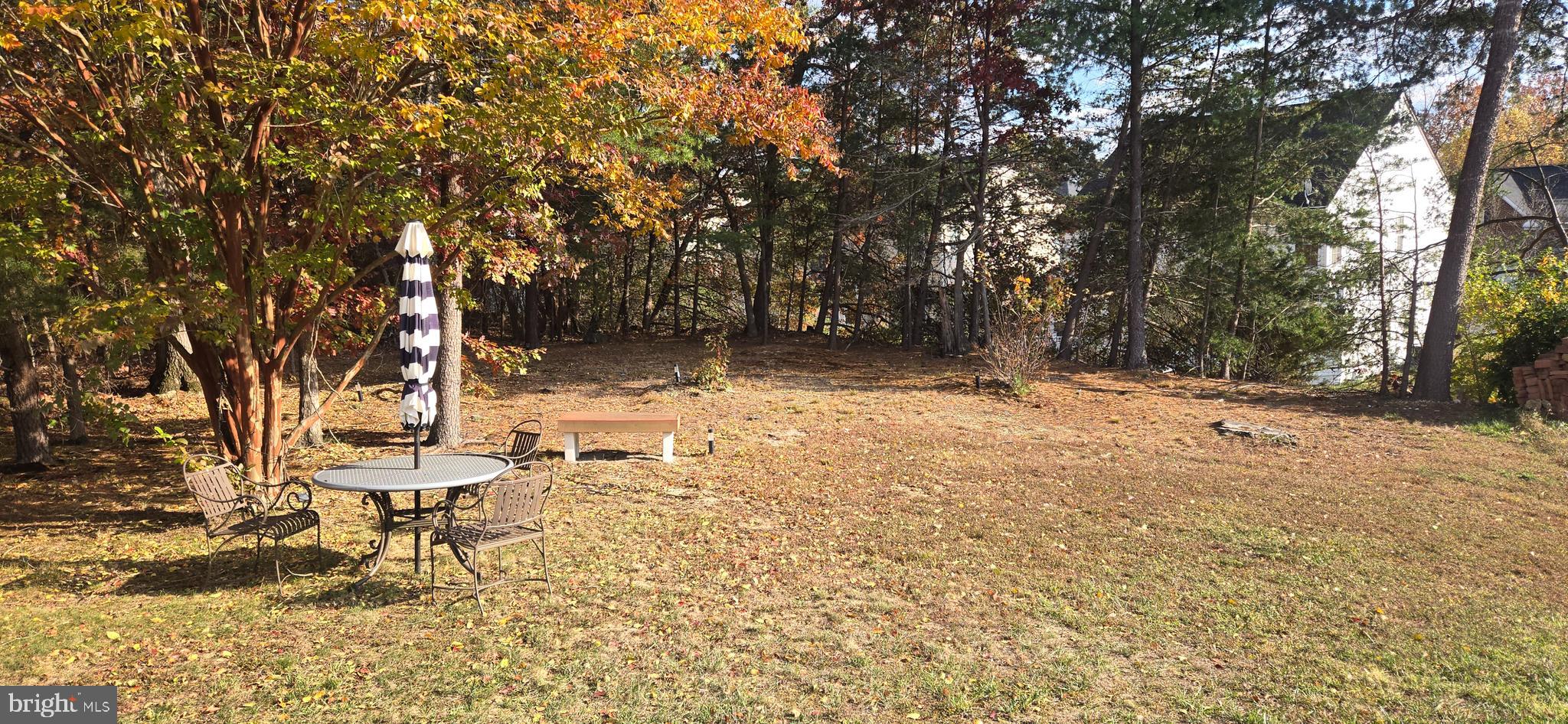 13005 Firestone Court Silver Spring, MD 20904 - Photo 45 of 47 a view of fire pit with a trees