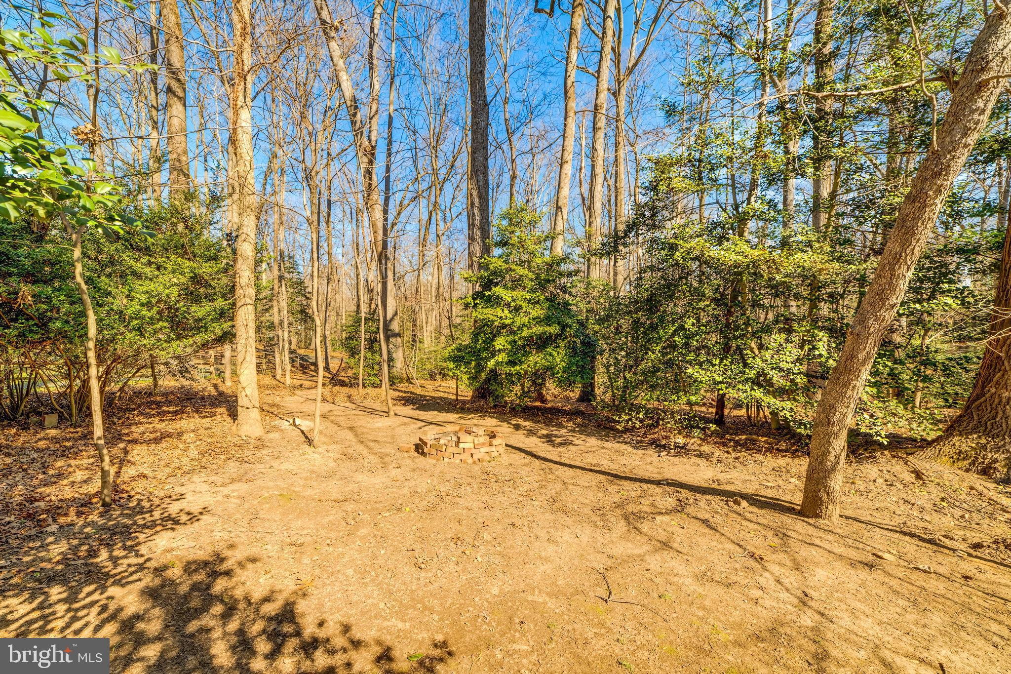 2520 Trophy Lane Reston, VA 20191 - Photo 46 of 47 Wooded, Private Lot
