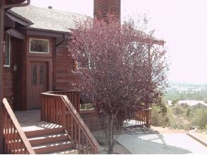 2081 Meadowbrook Road Prescott, AZ 86303 - Photo 8 of 9 Additional Photo