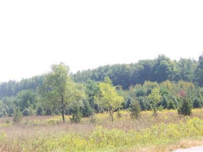North Grow Road, Unit PAR S Stanton, MI 48888 - Photo 3 of 4 Additional Photo