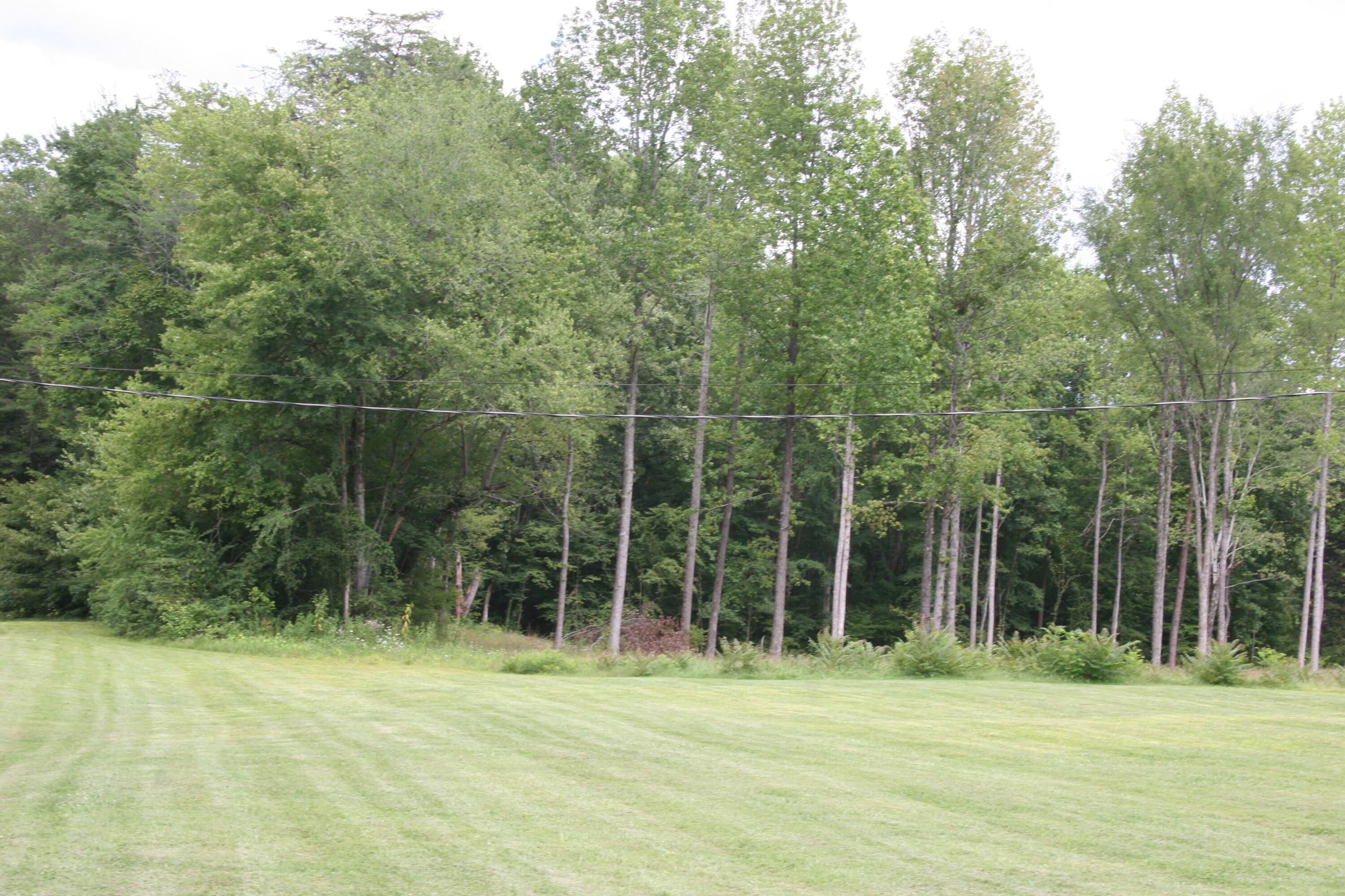 1685 Citico Road Vonore, TN 37885 - Photo 16 of 20 IMG_7178