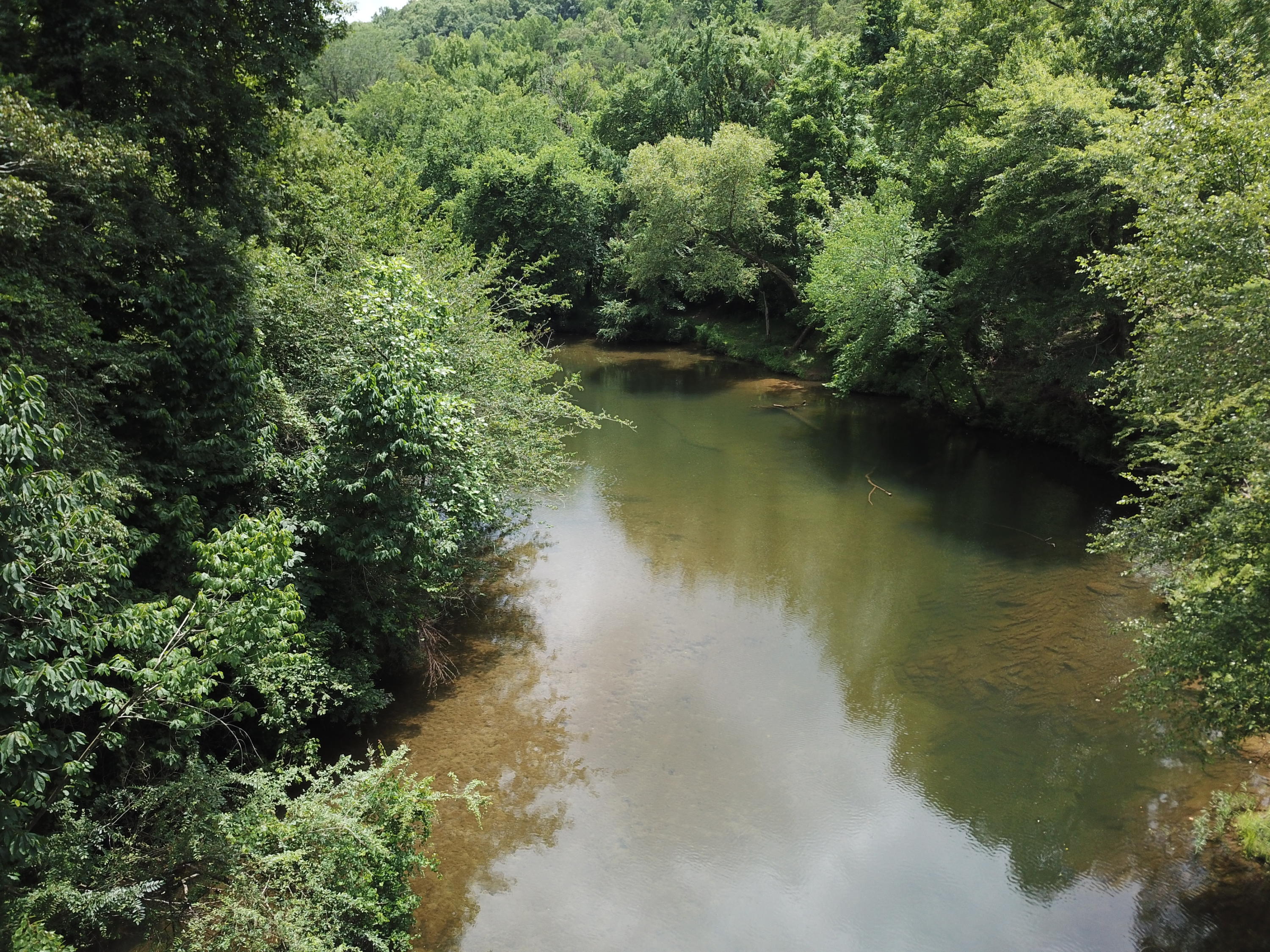 1685 Citico Road Vonore, TN 37885 - Photo 6 of 20 DJI_0267