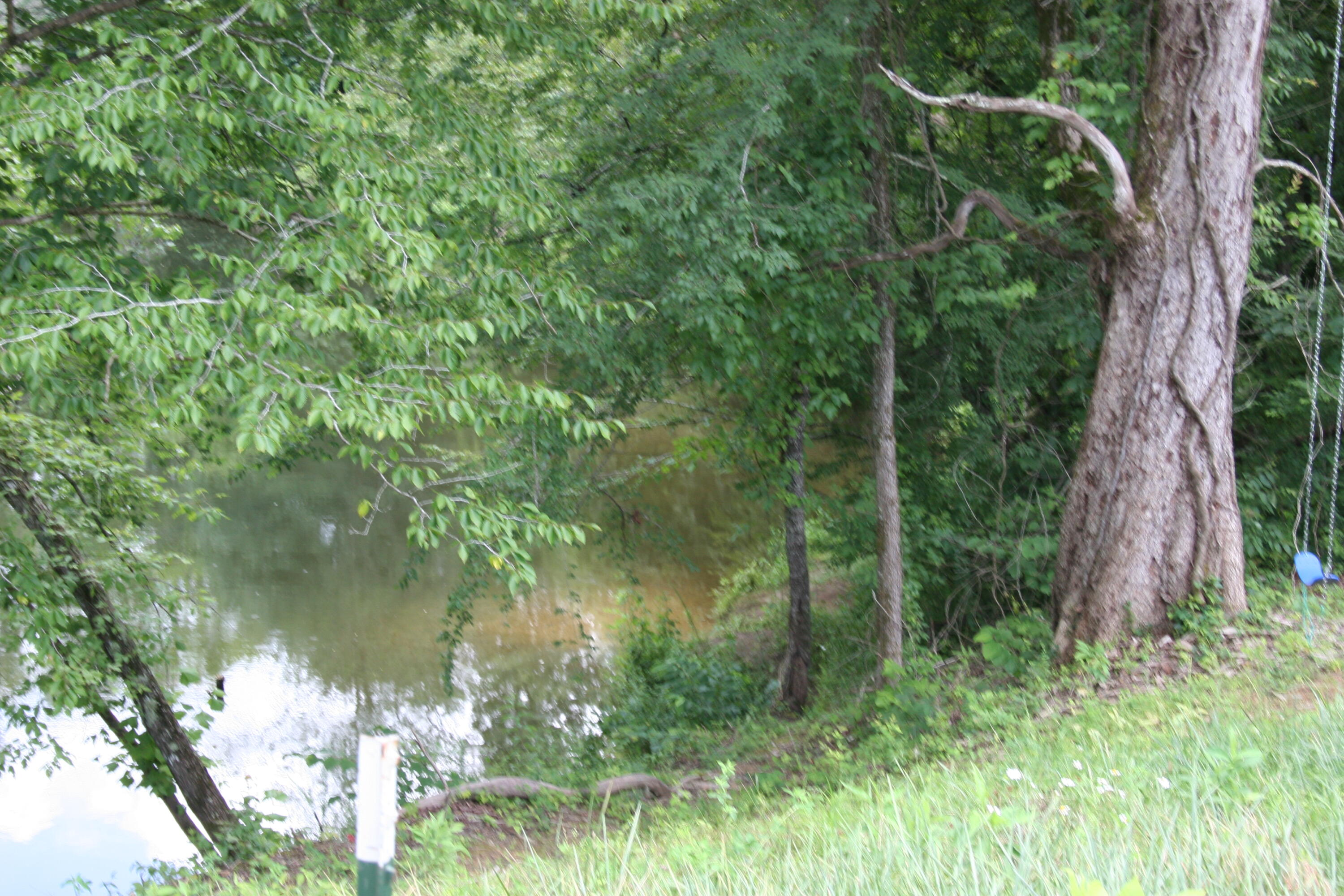 1685 Citico Road Vonore, TN 37885 - Photo 10 of 20 IMG_7153