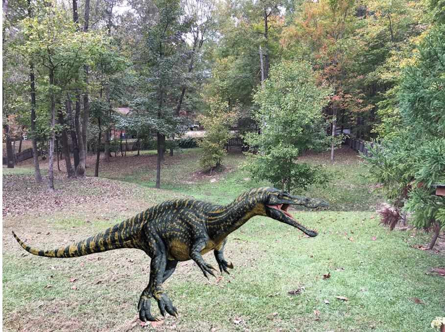 2562 Burton Road Durham, NC 27704 - Photo 20 of 25 Dinosaurs added for effect and are not included with the sale of property. Jurrasic Park Backyard