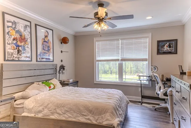 a view of a garden with plants and large trees