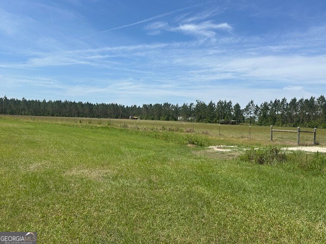 35 Tyler Road Naylor, GA 31641 - Photo 6 of 72