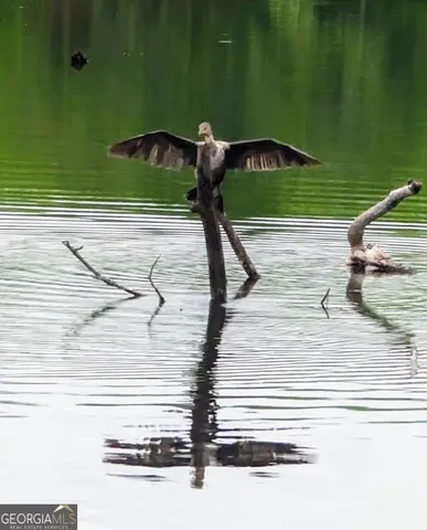 $1,450,000 | 35 Tyler Road, Naylor, GA 31641